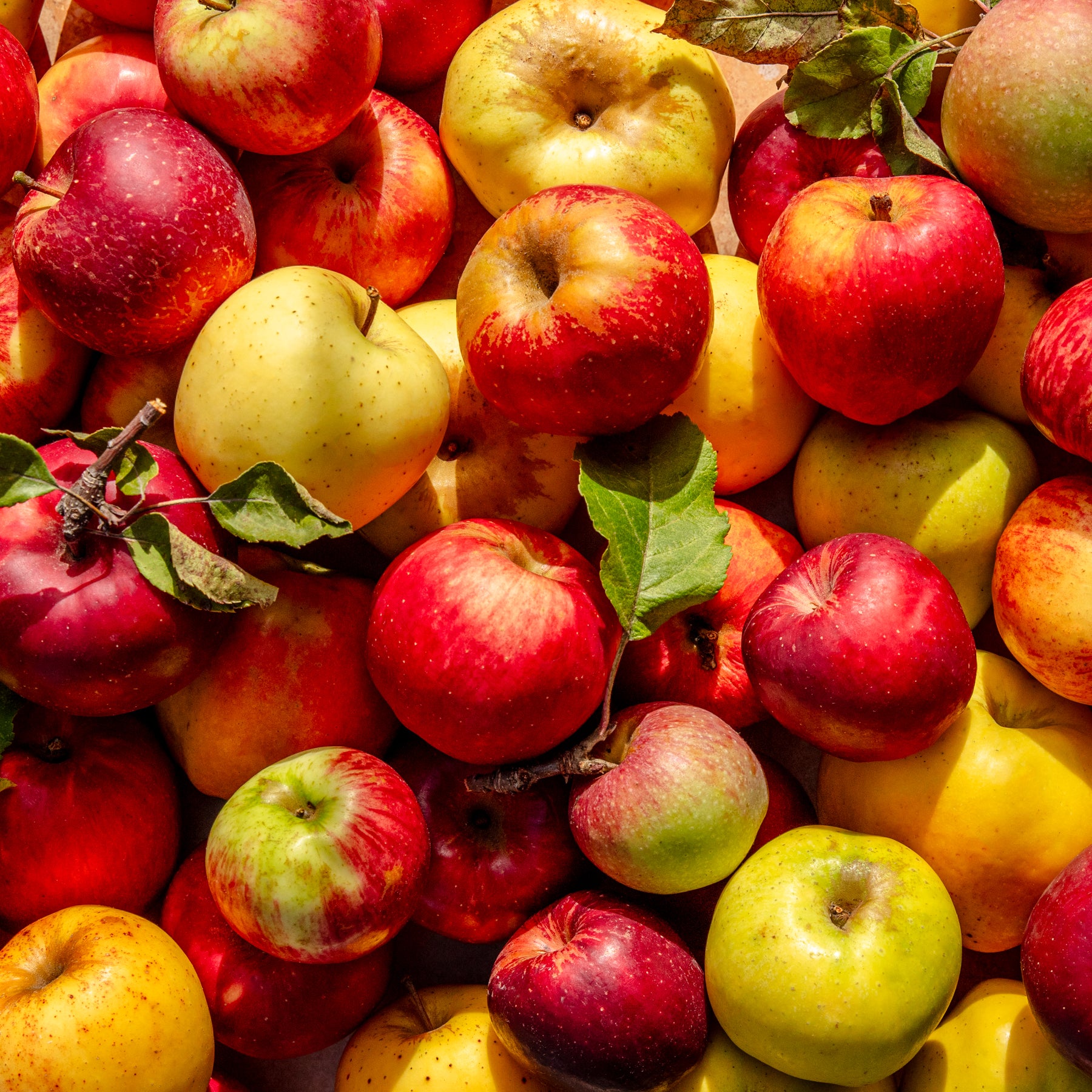 *Spicy* Apple Pie Snacks